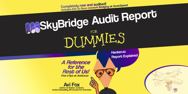 SkyBridge Audit Report for Dummies